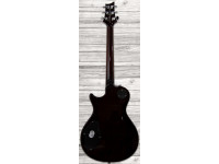 PRS SE 245 Standard TS PRS SE 245 Standard TS
